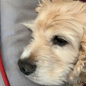 Meet your Posher, Nick